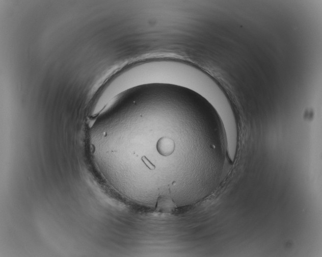 X0000111240112200907231538