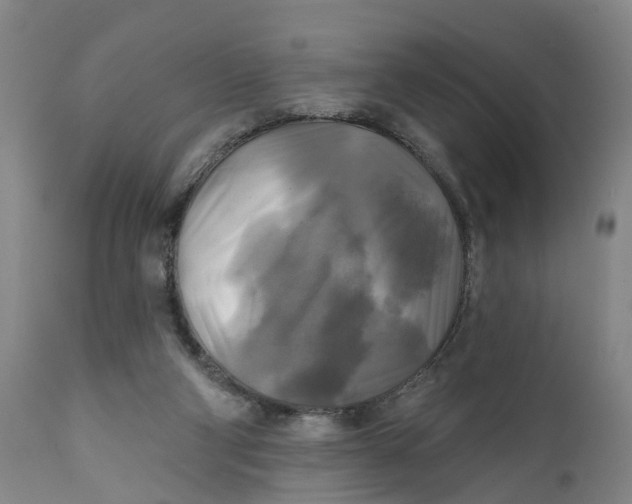 X0000111240114200907231538