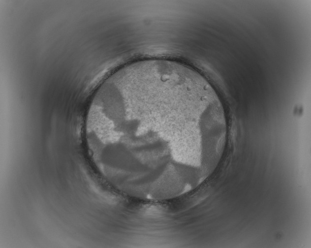 X0000111240115200907231538