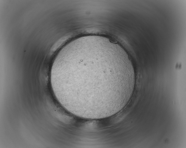 X0000111240116200907231538