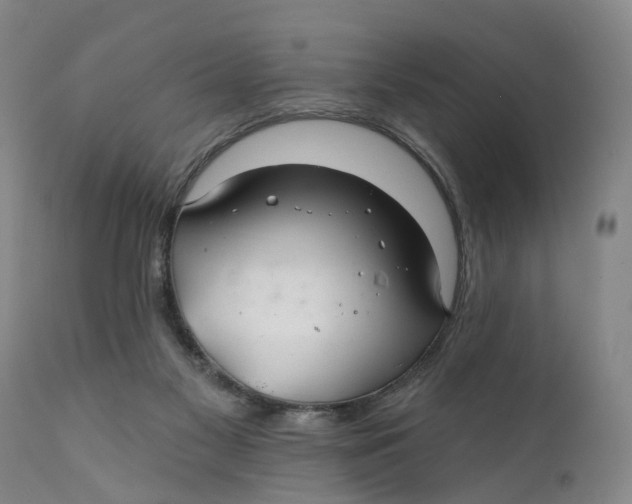 X0000111240117200907231538