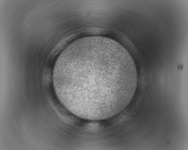 X0000111240119200907231538