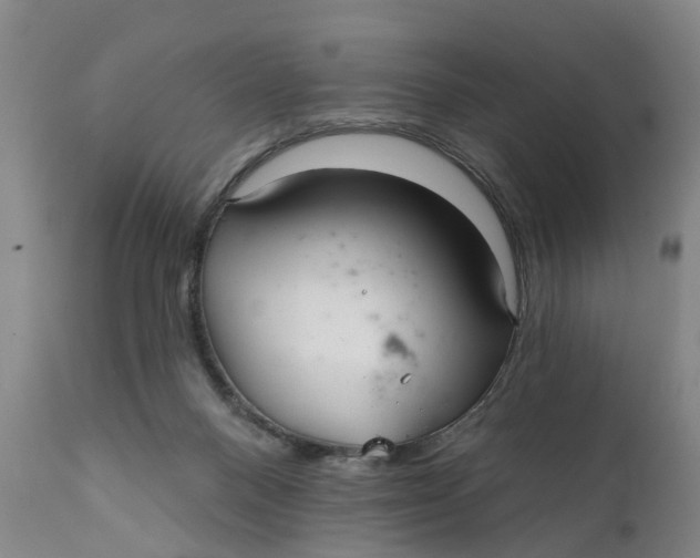 X0000111240120200907231538