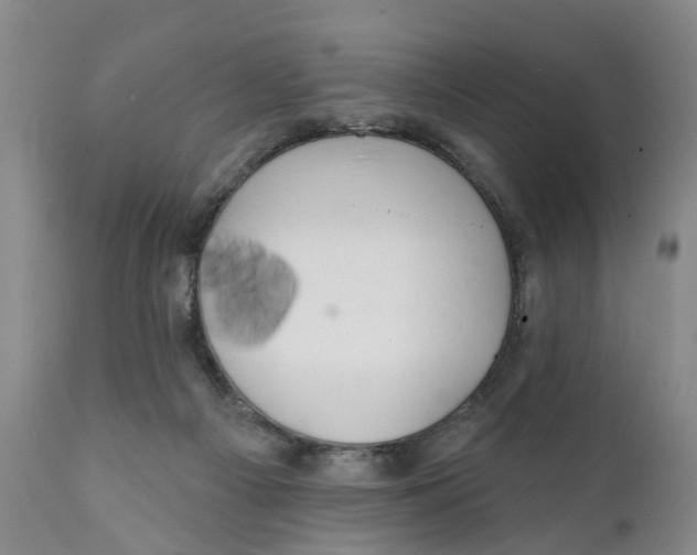 X0000111240121200907231538