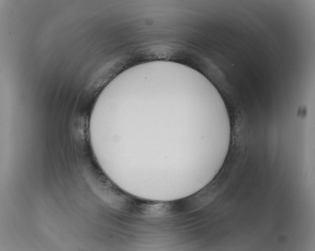 X0000111240122200907231538