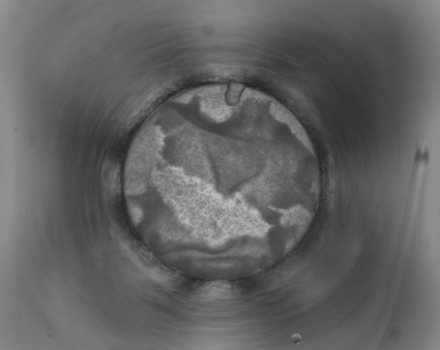 X0000111240123200907231538