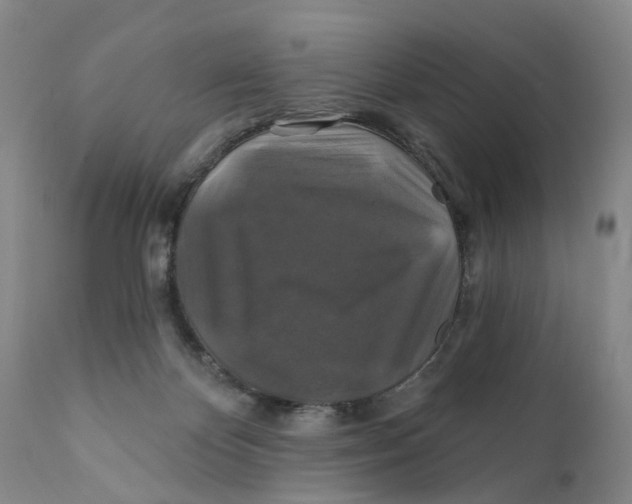 X0000111240124200907231538