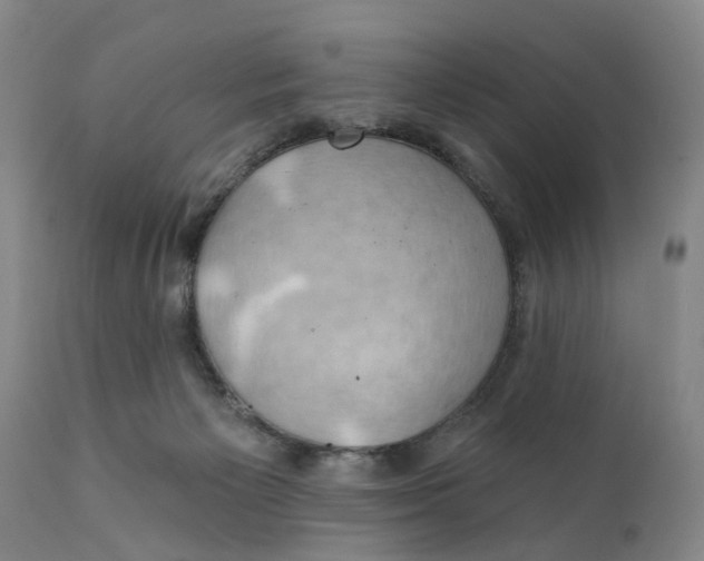 X0000111240125200907231538