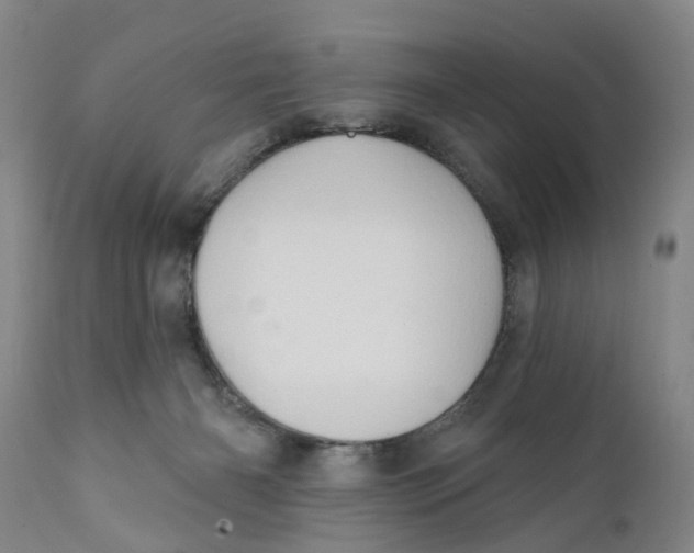 X0000111240126200907231538