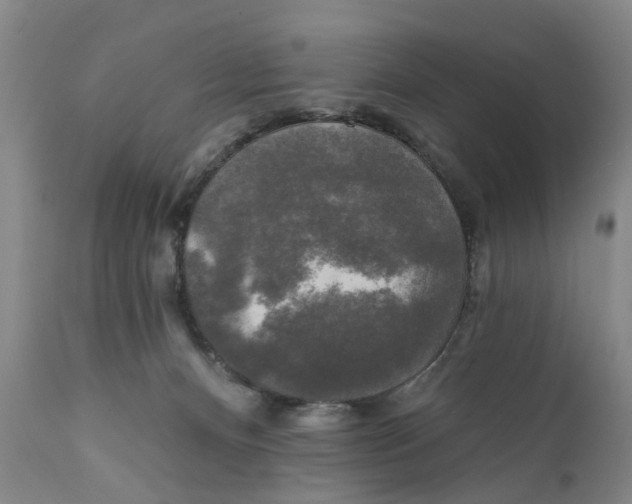 X0000111240128200907231538