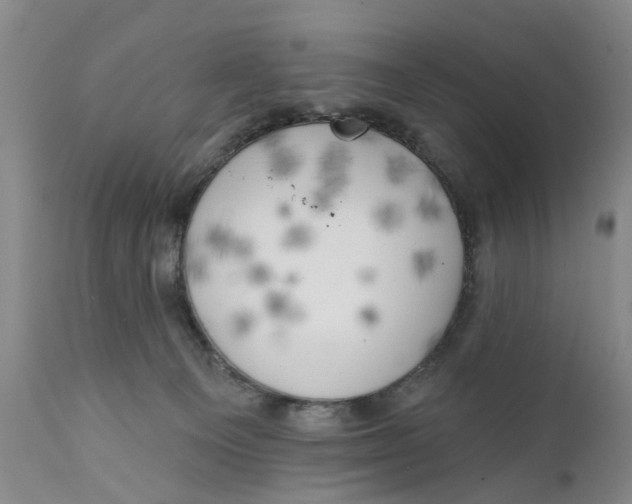 X0000111240129200907231538