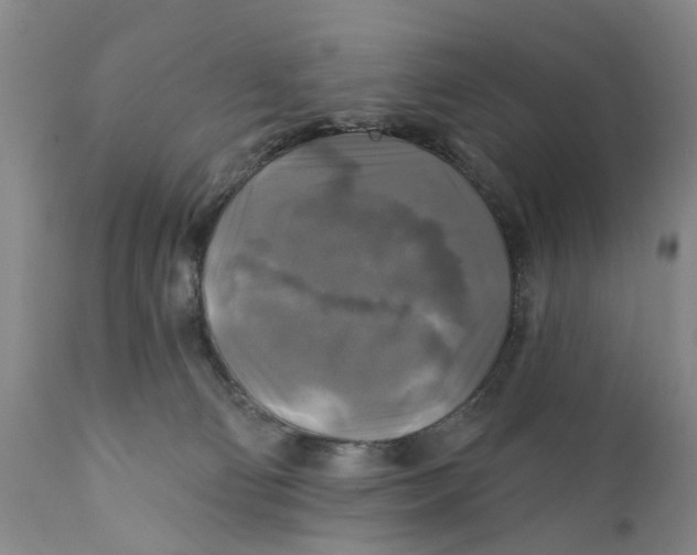 X0000111240130200907231538