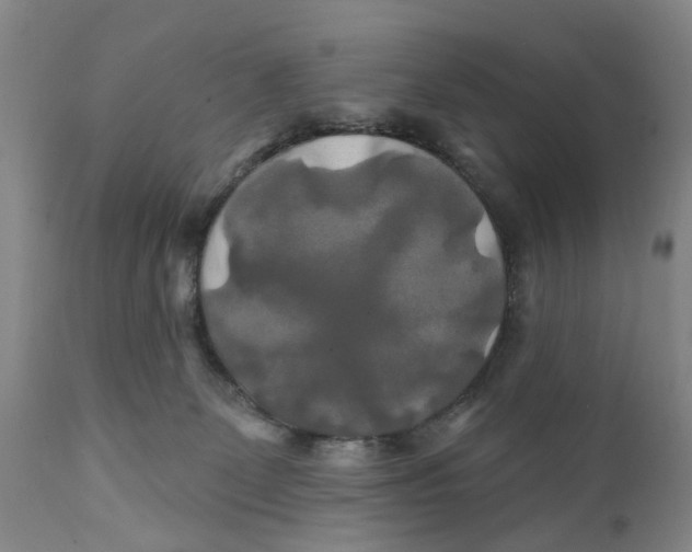 X0000111240131200907231538