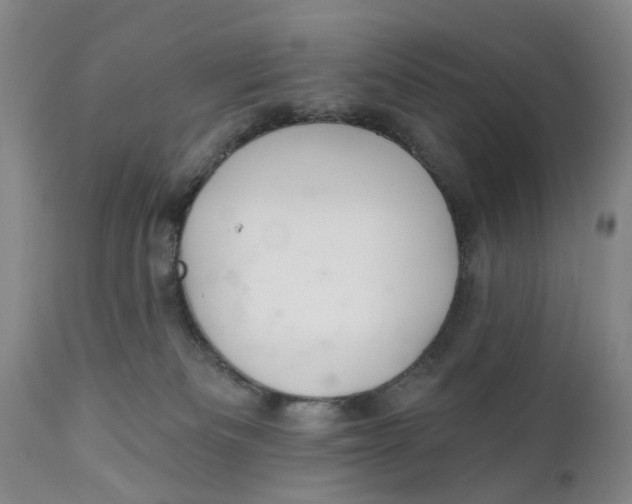 X0000111240133200907231538