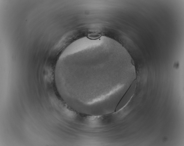 X0000111240136200907231538