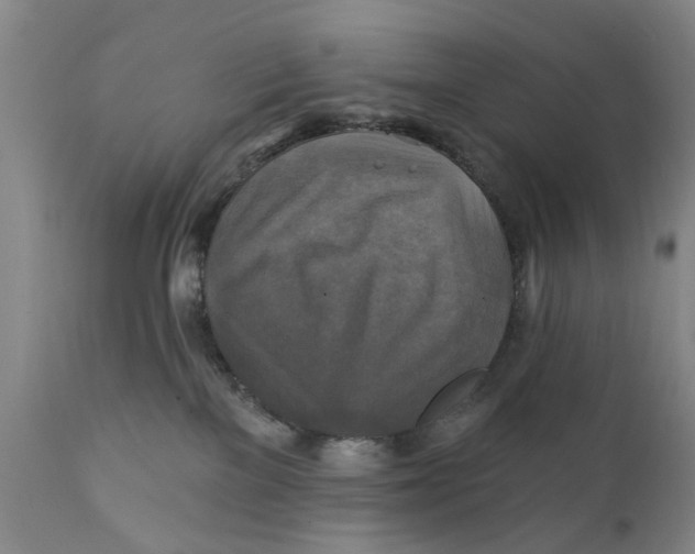 X0000111240137200907231538