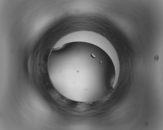 X0000111240140200907231538