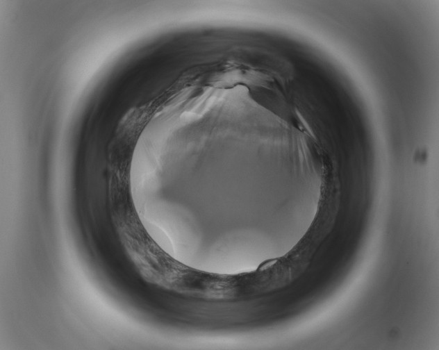 X0000111240143200907231538