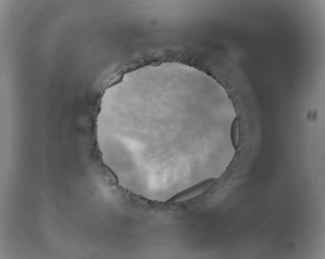 X0000111240144200907231538