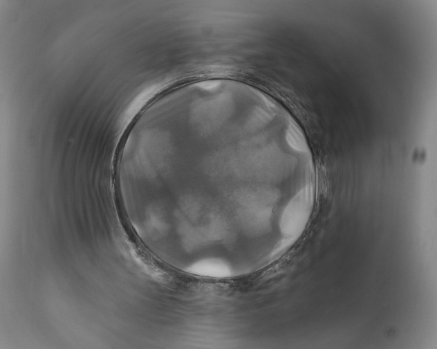 X0000111240147200907231537