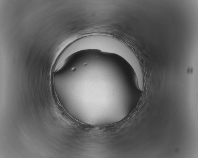 X0000111240148200907231537