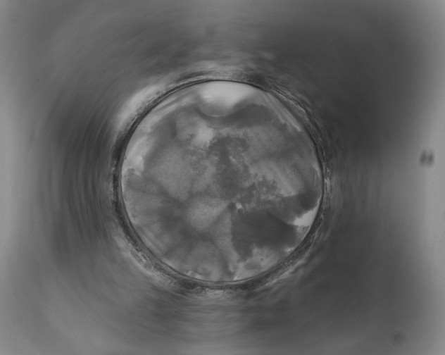 X0000111240149200907231537