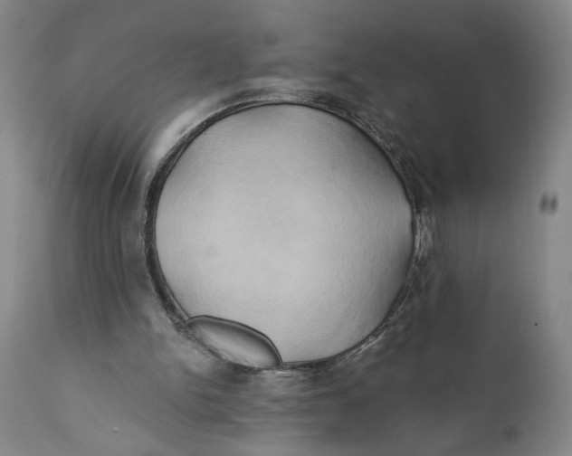 X0000111240150200907231537