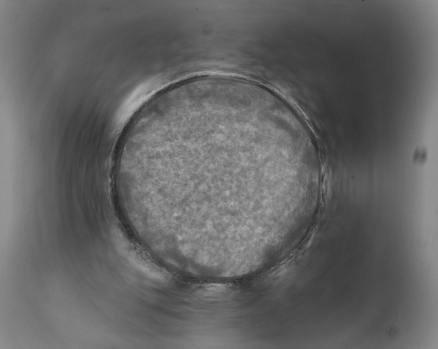 X0000111240151200907231537