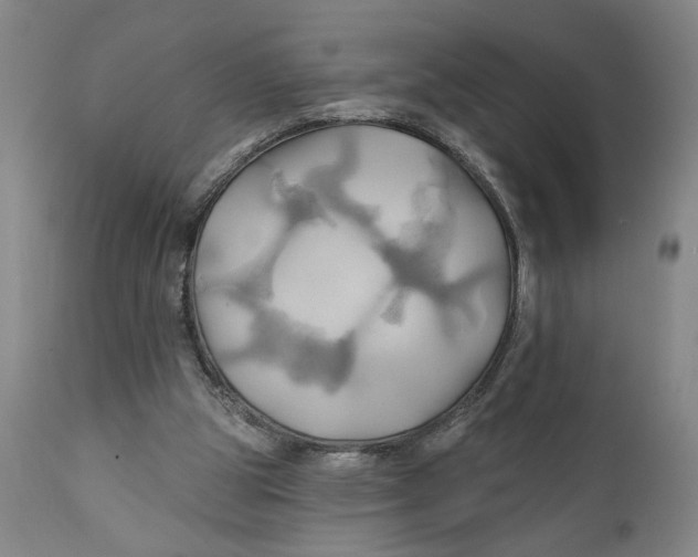 X0000111240153200907231537