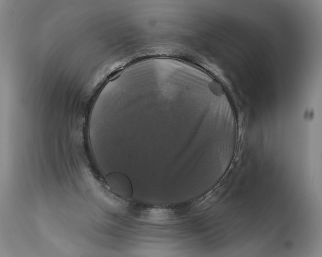 X0000111240154200907231537