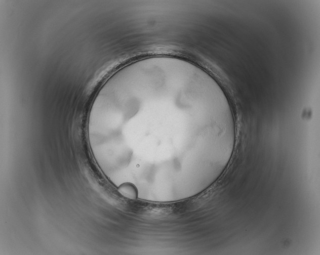 X0000111240155200907231537