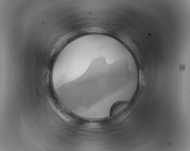 X0000111240157200907231537