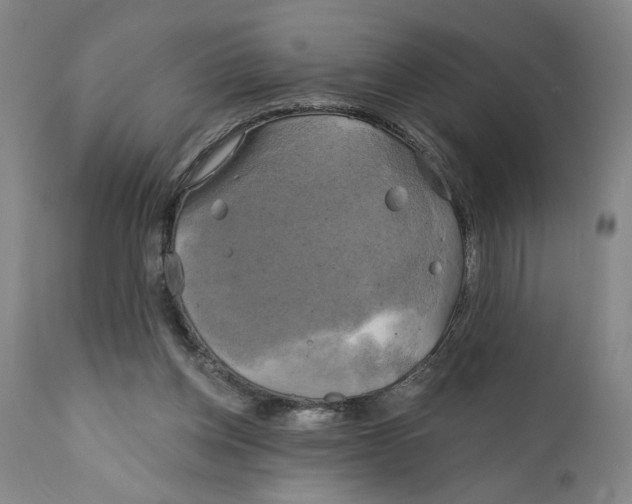 X0000111240158200907231537