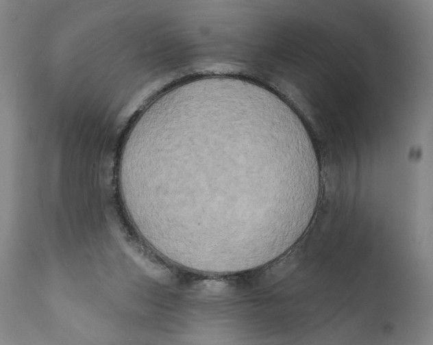 X0000111240159200907231537