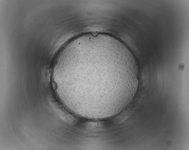 X0000111240160200907231537