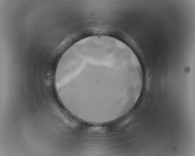 X0000111240161200907231537