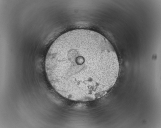 X0000111240162200907231537