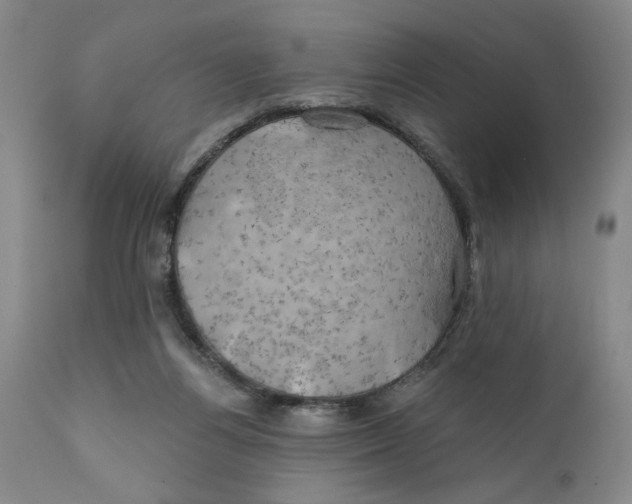 X0000111240164200907231537