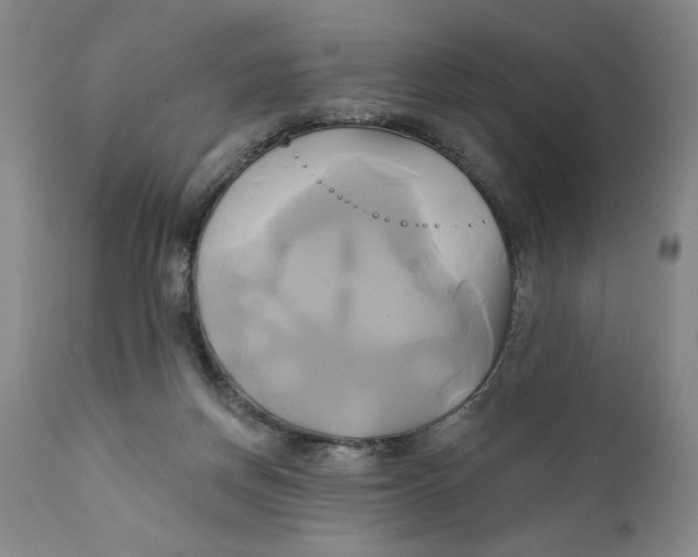 X0000111240166200907231537