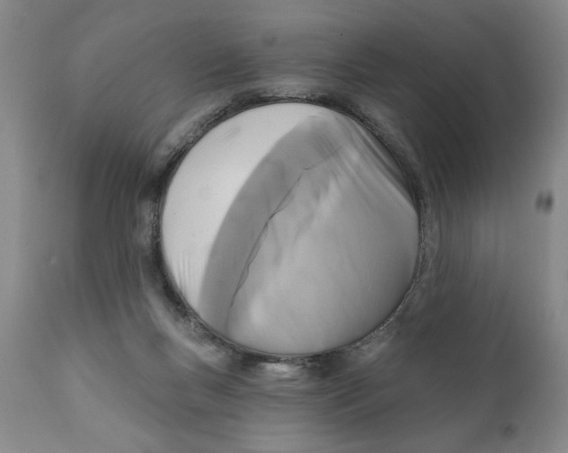 X0000111240167200907231537