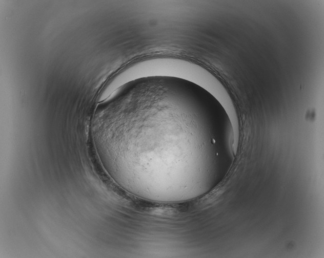 X0000111240168200907231537