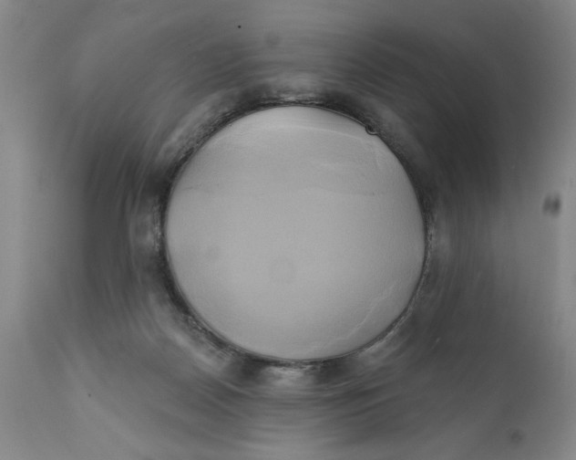 X0000111240170200907231537