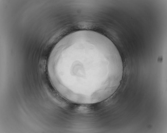 X0000111240171200907231537