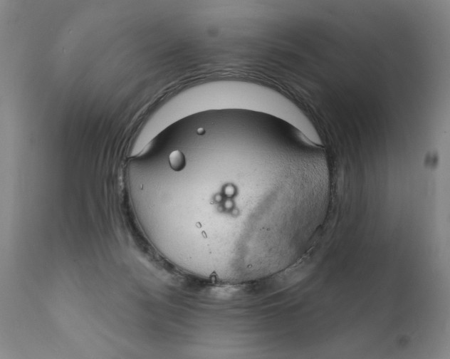 X0000111240172200907231537