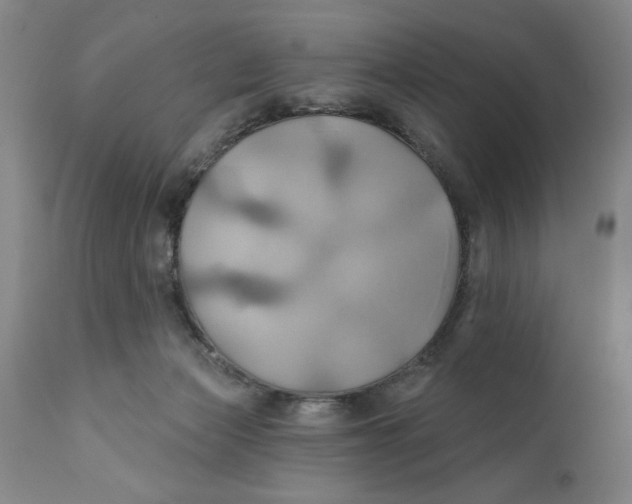 X0000111240173200907231537