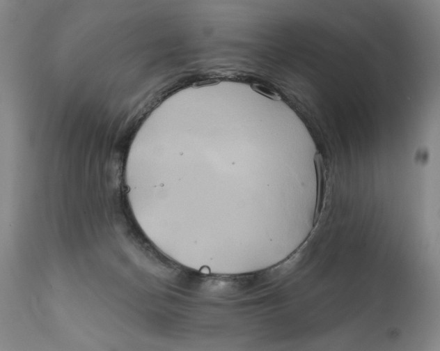 X0000111240174200907231537