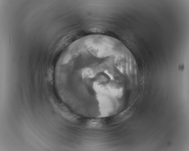 X0000111240175200907231537