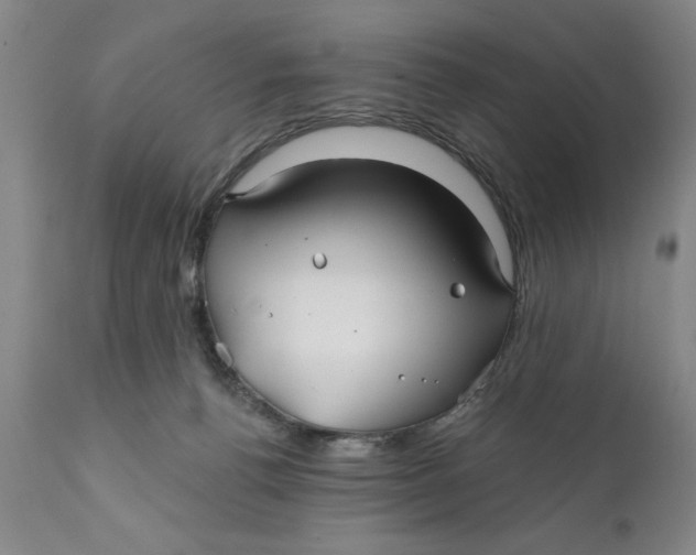 X0000111240176200907231538