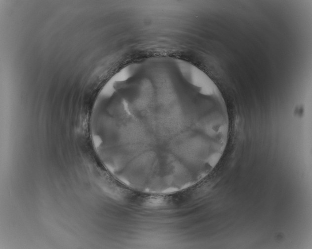 X0000111240177200907231538