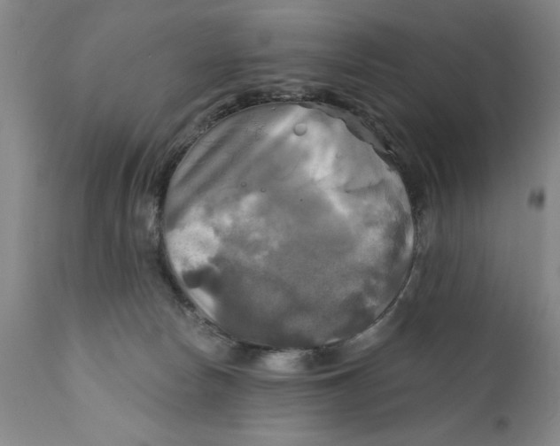 X0000111240178200907231538